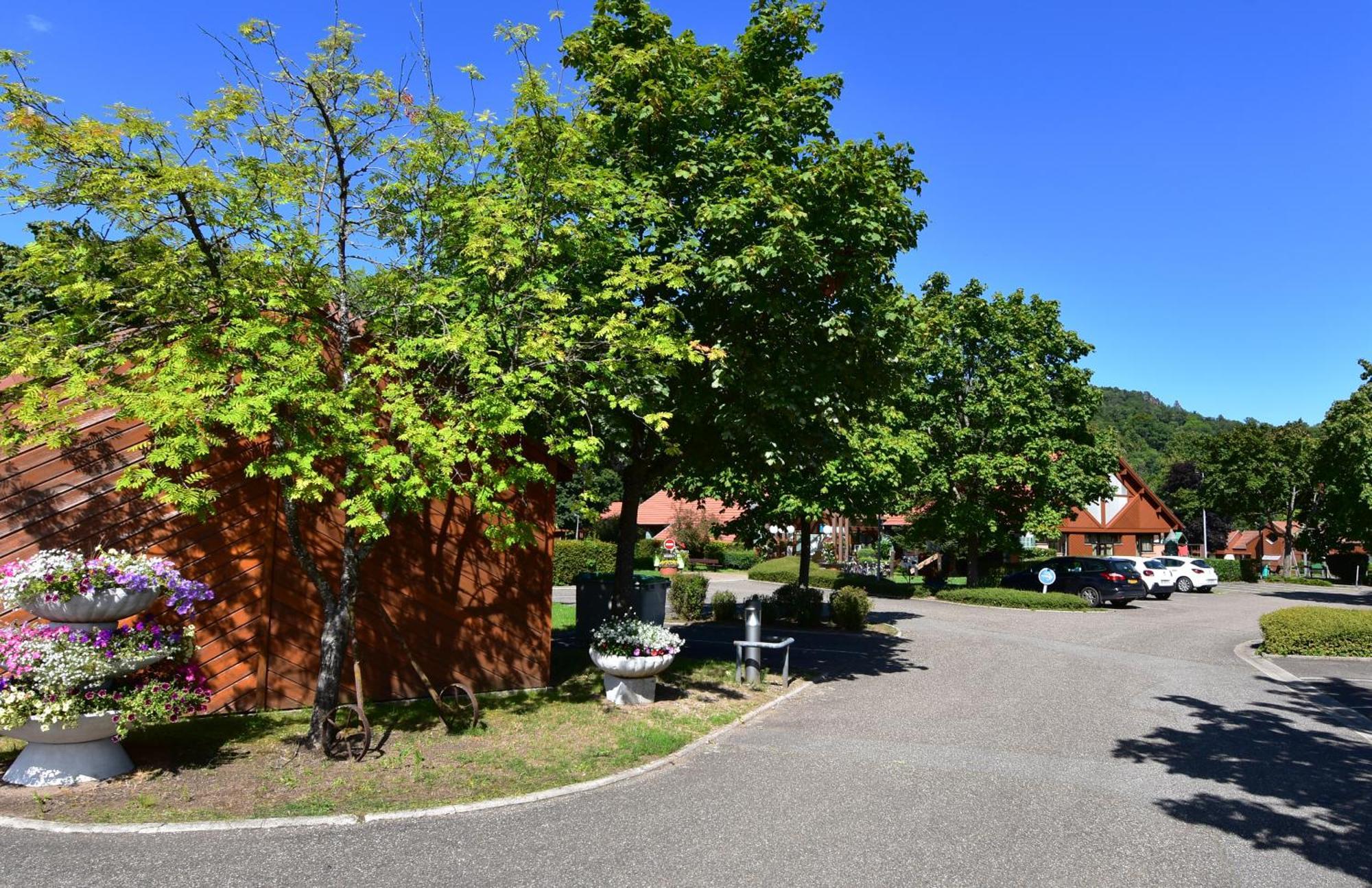 Appartamento La Petite Fecht Munster  Esterno foto